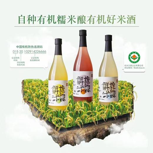 【明星推荐】七约米酒有机非遗鲜榨米露 农家自酿米露有机甜酒0.5度微醺果酒低度晚安酒 商品图8