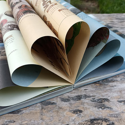 【地球知识局专属】藏在地图里的美国 商品图3