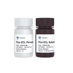 SuperPico ECL Chemiluminescence Kit