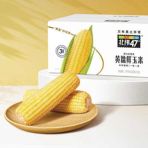 【撕开即食 香甜可口】北纬47° 玉米 水果玉米粒80g*10袋+黄糯玉米200g*10根 即食水果玉米 商品图3