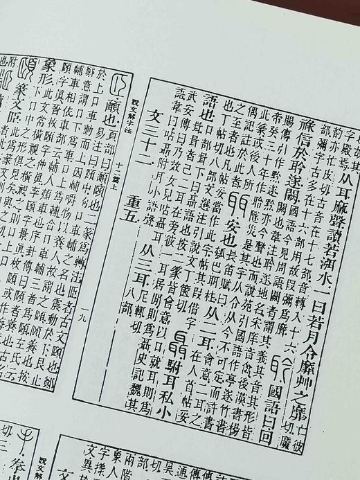 《汉小学四种》，精装，16开，两厚册，《说文解字注》、《尔雅义疏》、《方言笺疏》、《释名笺疏补》四种，段玉裁等著，巴蜀书社2001年一版一印，1700多页，定价188，略溢价，售价199元。注意品相描 商品图14