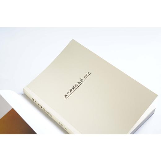 我所理解的生活（三十岁的男人开始系统地思考关于生活的一切，韩寒难得如此诚恳） 商品图1