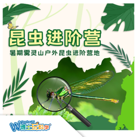 【北京】昆虫进阶营-【暑假雾灵山户外昆虫进阶营地】