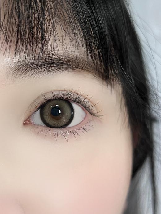 Budercon 罗意威 年抛 2片 14.5mm 参考着色14.0mm 基弧8.6 含水40% 新锐国货 商品图3