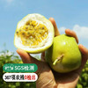 钦蜜9号百香果 现摘现发，百香果界的LV---钦蜜百香果 甜度是紫果的5倍 果汁含量45% 酸甜比1:9 商品缩略图0