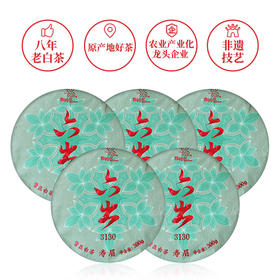 武夷星雪榕花六出3130寿眉白茶福鼎原料老白茶5饼1提白茶饼