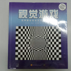 视觉游戏 甘尼·莎孔恩 著 娱乐休闲