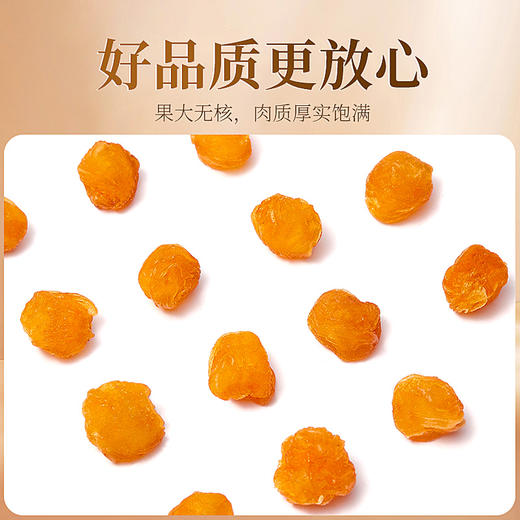 庄民 桂圆肉 无核龙眼干 肉质厚实龙眼肉 精选好货200g/罐 商品图5