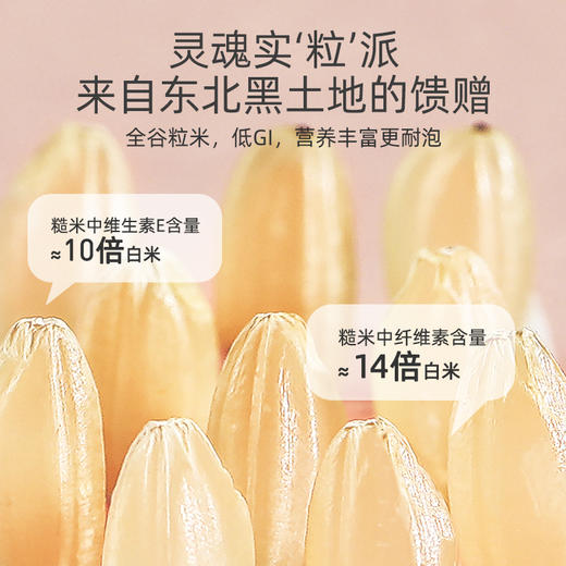 【秒杀陈皮姜米茶 】12包120g 云南生姜广东橘皮东北糙米；三分谷物香 七分茶滋味；免煮型,即泡即饮，独立小袋  不参与满赠 商品图2