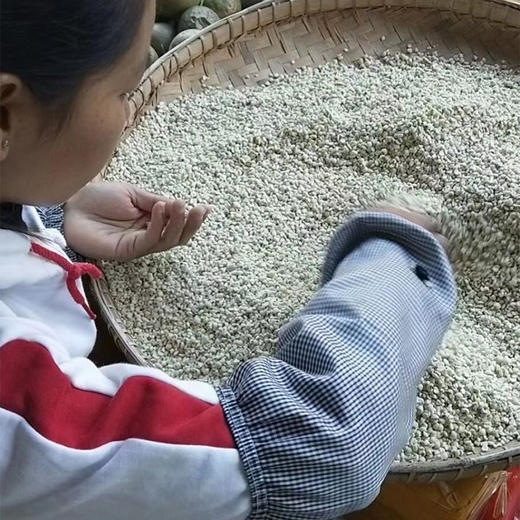 【云南墨江糯薏仁米】 商品图4