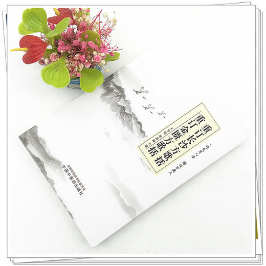 重订长沙方歌括 重订金匮方歌括 王宇皓 沈祥峰 主编 中国中医药出版社 临床 书籍 商品图2