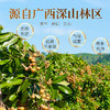 庄民 桂圆肉 无核龙眼干 肉质厚实龙眼肉 精选好货200g/罐 商品缩略图6