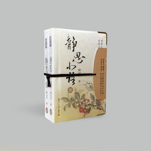 《静思小语》5-6册（再版） 商品图3