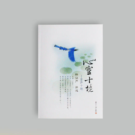 《心灵十境》再版 商品图1