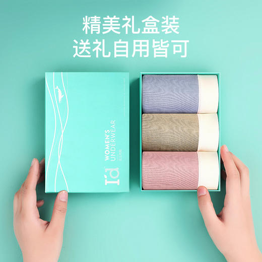 爱帝少女内裤莫兰迪色中腰3条装 商品图4