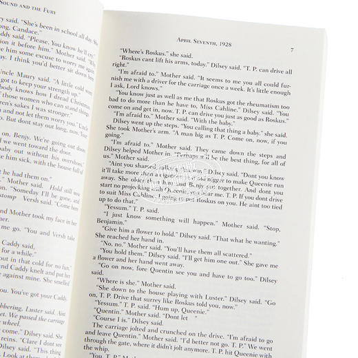 【中商原版】喧嚣与躁动 诺顿文学解读系列 英文原版 The Sound and the Fury William Faulkner 商品图3