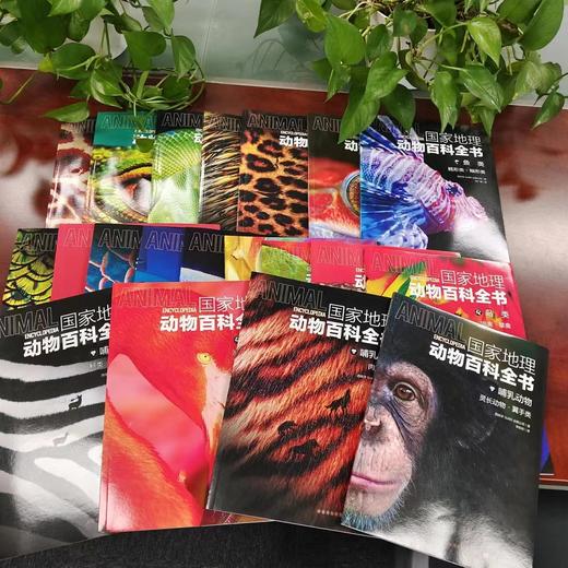 《guo家地理动物百科全书》全20册，一套书了解整个动物界 商品图1