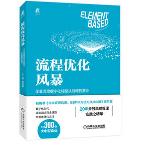 流程优化风暴：企业流程数字化转型从战略到落地