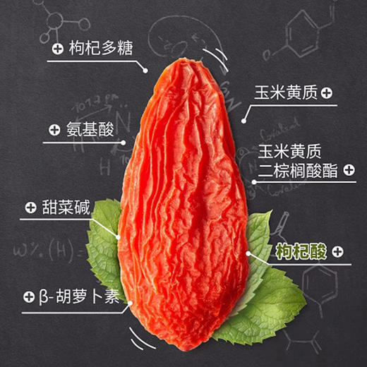 生态红枸杞  250g 商品图3