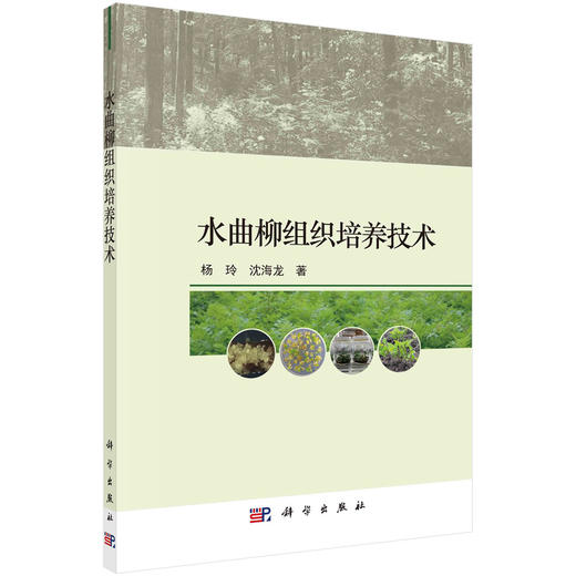 水曲柳组织培养技术/杨玲 沈海龙 商品图0