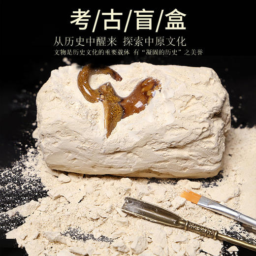 【儿童益智】发现历史文物的乐趣，一盒解锁十二兽头玩具！河南考古盲盒，上新啦！亲子玩具 商品图1