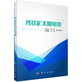 钙钛矿太阳电池/刘生忠