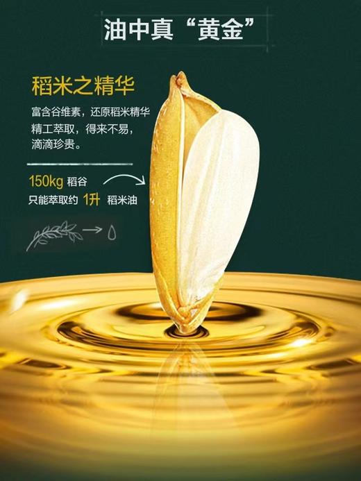 金龙鱼精萃稻米油5L 商品图3