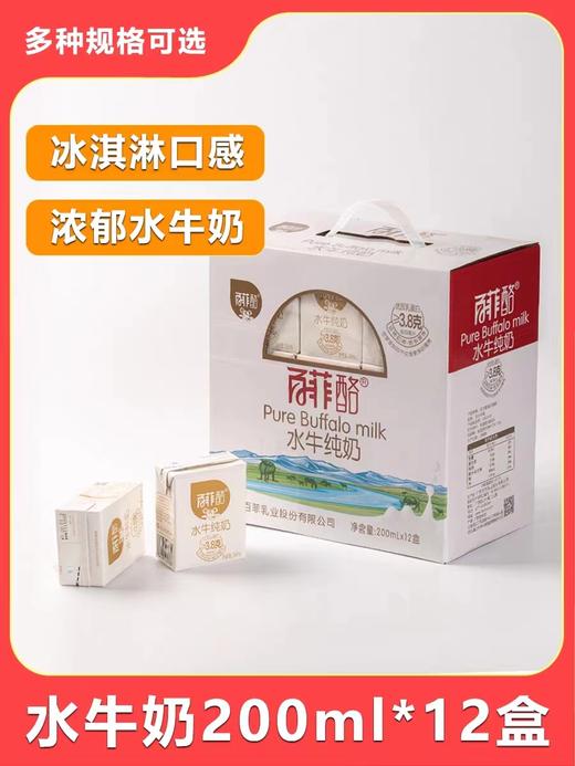 百菲酪水牛纯奶200ml*12盒广西水牛奶学生儿童营养早餐水牛奶 商品图0