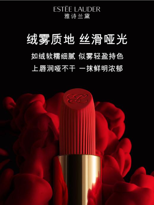 【雅诗兰黛】B1F 绝色由我唇膏-金管 商品图2