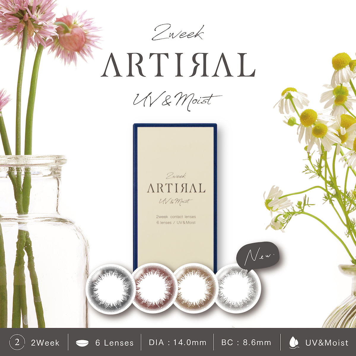 「上海保税仓发货」Artiral 日本美瞳 新版UVM 双周抛6片装