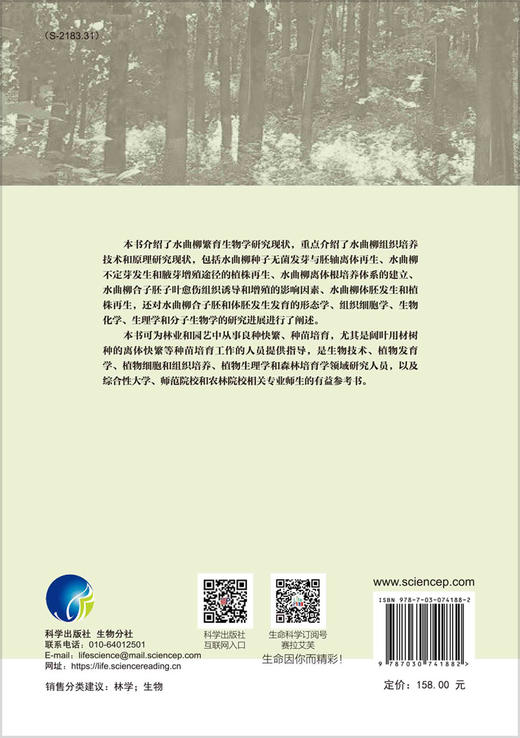 水曲柳组织培养技术/杨玲 沈海龙 商品图1
