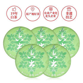 武夷星雪榕花六出3191寿眉白茶福鼎原料老白茶5饼1提大份量礼盒装