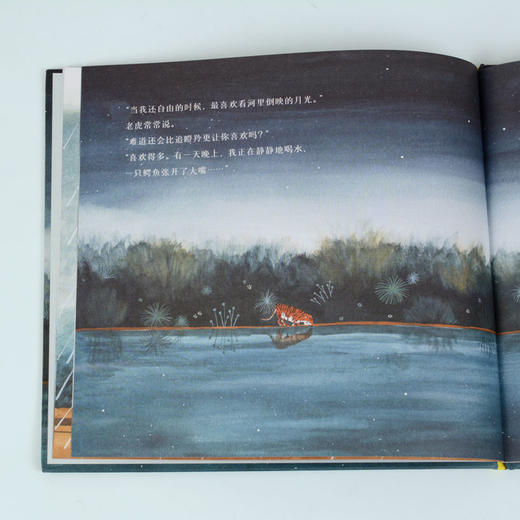 【奇想国】老虎朋友，晚上见！：一个直击心灵的关于自由和友谊的奇幻故事 商品图2