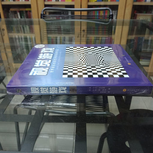 视觉游戏 甘尼·莎孔恩 著 娱乐休闲 商品图1