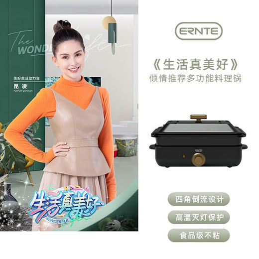 ERNTE 德国 多功能锅电火锅电炒锅电热锅 电烧烤锅 涮蒸煮炒煎烤一体EHP-2001-MB单锅【伊藤优选302401】 商品图0
