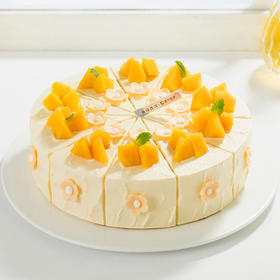 【微甜热量低】轻盈沐光蛋糕，微甜女孩，控甜之选！0添加蔗糖，更健康更好吃（昆明+安宁）