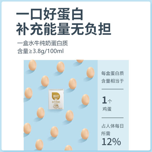 百菲酪水牛纯奶200ml*12盒广西水牛奶学生儿童营养早餐水牛奶 商品图2