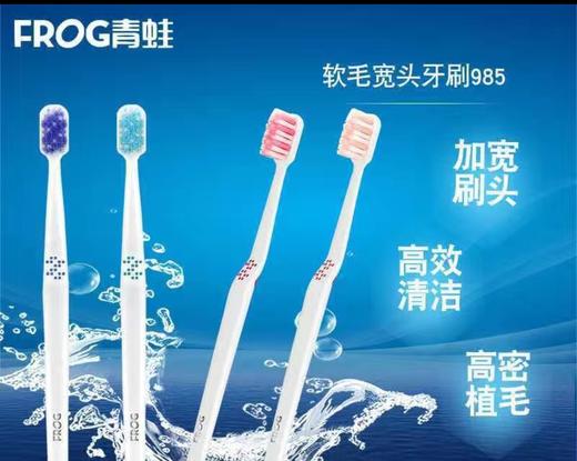 青蛙成人牙刷双支中毛Q987/985家庭套装2支装手动超薄柔护净清洁(颜色随机发货) 商品图1