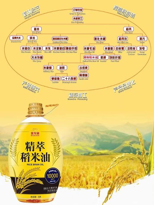 金龙鱼精萃稻米油5L 商品图1