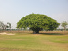 芭提雅乡村高尔夫俱乐部 Pattaya Country Club | 泰国高尔夫球场｜芭提雅高尔夫俱乐部 商品缩略图2