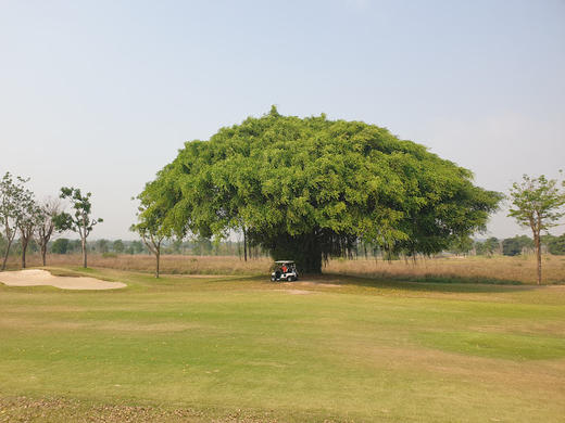 芭提雅乡村高尔夫俱乐部 Pattaya Country Club | 泰国高尔夫球场｜芭提雅高尔夫俱乐部 商品图2