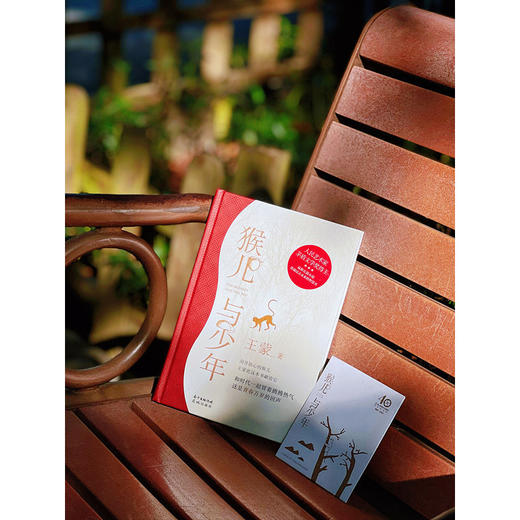 猴儿与少年（人民艺术家王蒙全新长篇小说，让他刻骨铭心的猴儿，青春万岁的回声，随机附赠当当专享限量2022年贺岁版藏书票） 商品图1