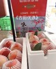 古田水蜜桃*夏天情有独钟的味道 10斤装MJ 商品缩略图1