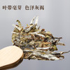 武夷星雪榕花白牡丹福鼎原料瑞白3181白牡丹5饼1提老白茶饼 商品缩略图2