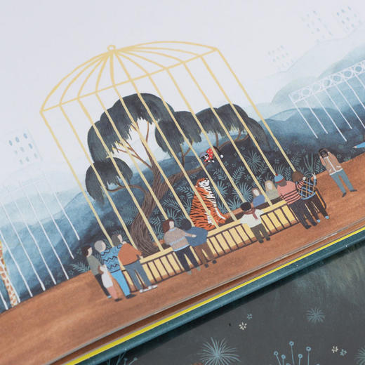 【奇想国】老虎朋友，晚上见！：一个直击心灵的关于自由和友谊的奇幻故事 商品图3