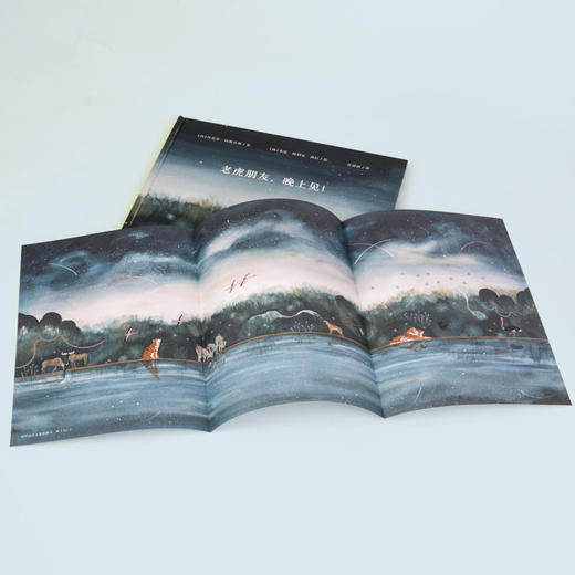 【奇想国】老虎朋友，晚上见！：一个直击心灵的关于自由和友谊的奇幻故事 商品图4