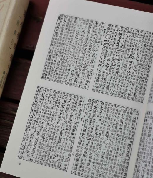 《汉小学四种》，精装，16开，两厚册，《说文解字注》、《尔雅义疏》、《方言笺疏》、《释名笺疏补》四种，段玉裁等著，巴蜀书社2001年一版一印，1700多页，定价188，略溢价，售价199元。注意品相描 商品图7