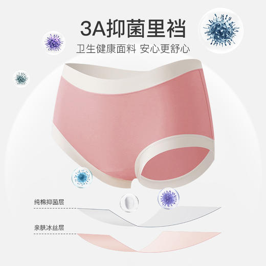 爱帝少女内裤莫兰迪色中腰3条装 商品图9