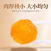 庄民 桂圆肉 无核龙眼干 肉质厚实龙眼肉 精选好货200g/罐 商品缩略图2