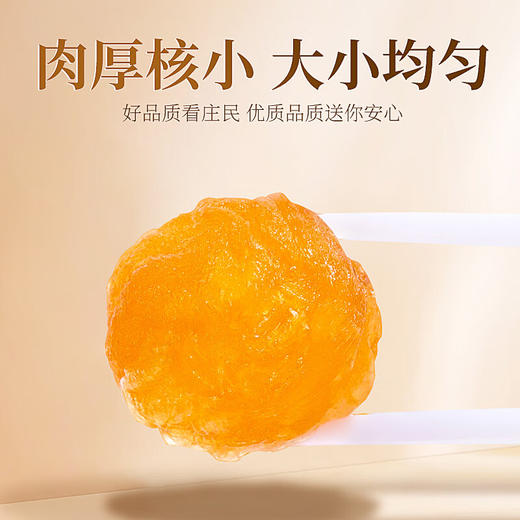 庄民 桂圆肉 无核龙眼干 肉质厚实龙眼肉 精选好货200g/罐 商品图2